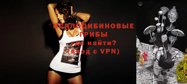шишки Аркадак