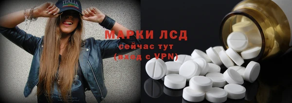 шишки Аркадак