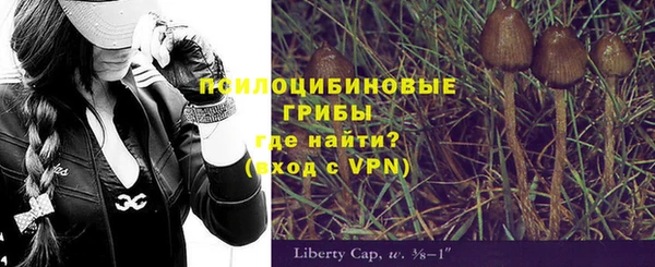 шишки Аркадак